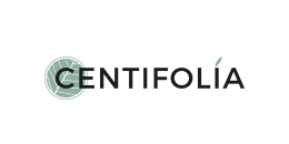 centifolia